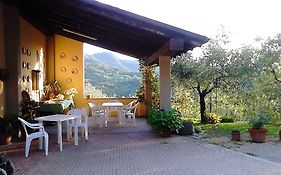 Il Melo